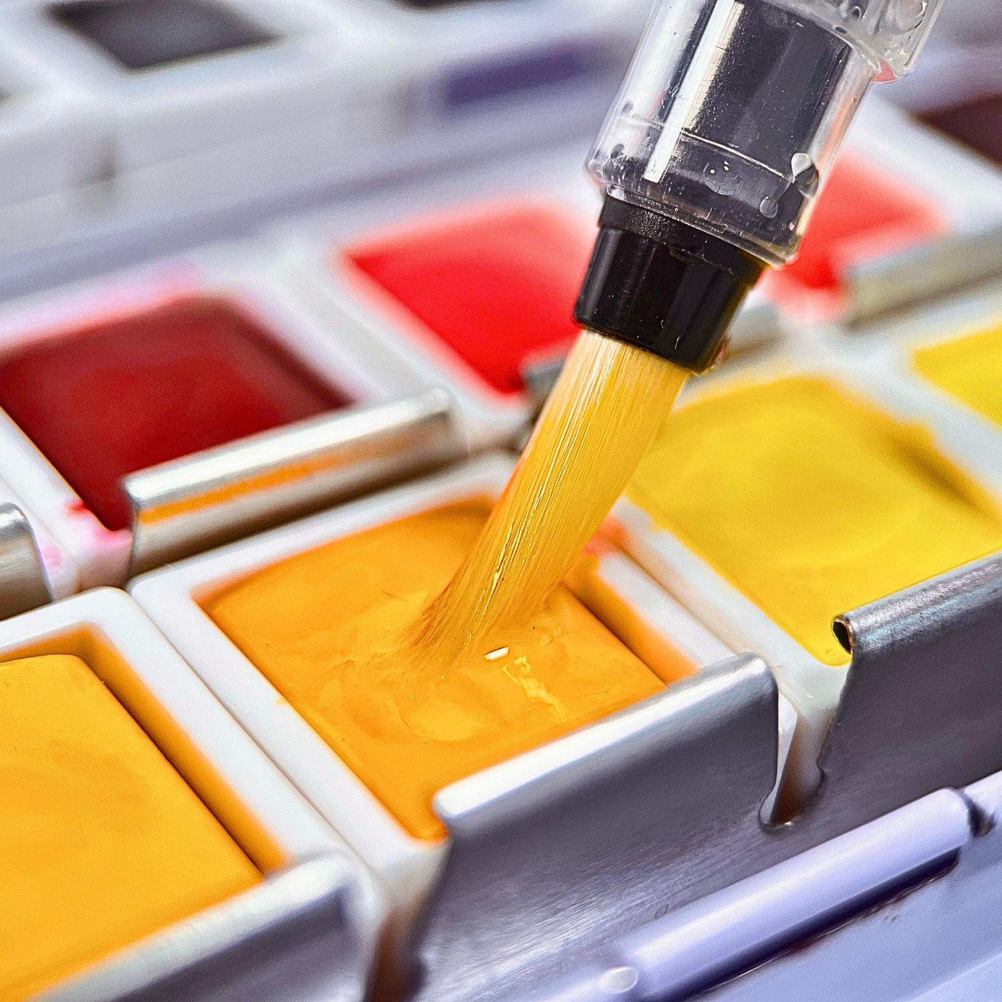 Watercolors