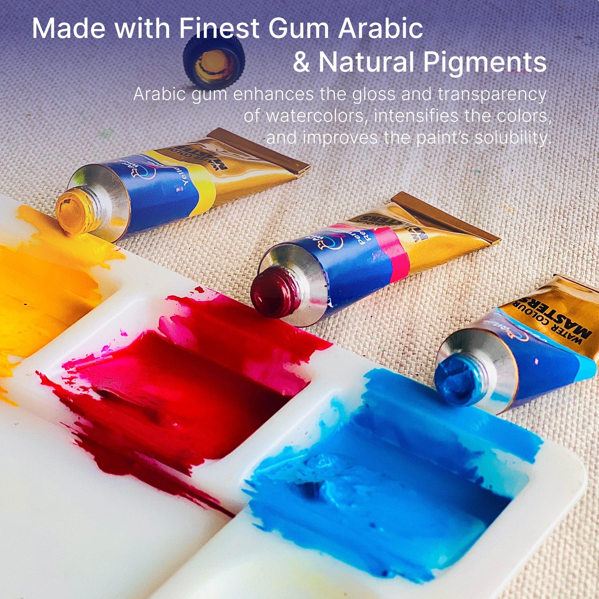 Art Whale Watercolor Paint Set, 12 Colors, 15ml/0.5oz Tubes, High-Pigment, Smooth Blending